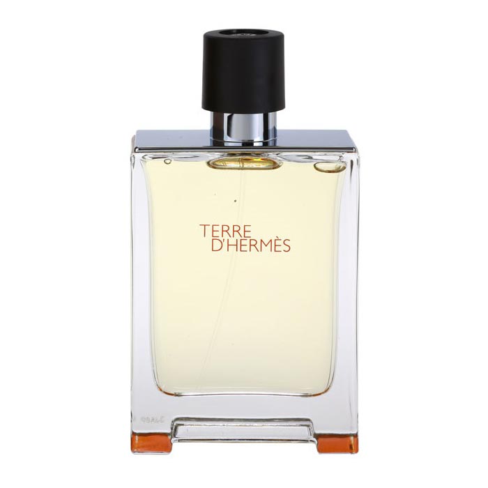 ادوتویلت مردانه هرمس Hermes Terre DHermes edt 100ml