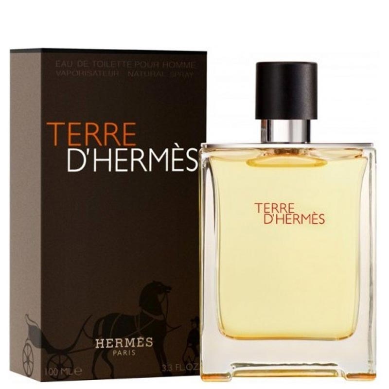 ادوتویلت مردانه هرمس Hermes Terre DHermes edt 100ml